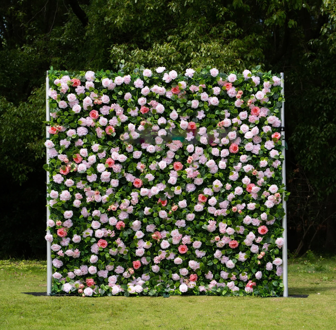 The Sweet Peony Wall