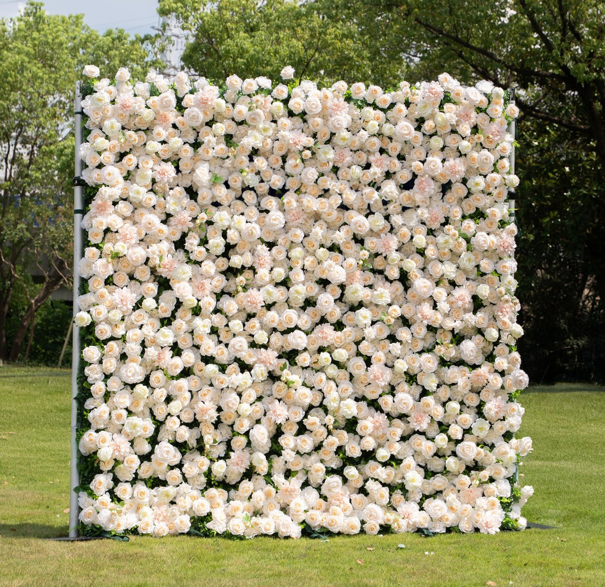 The Champagne Rose Wall